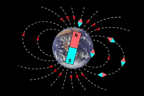 Fossil Compasses Teaching Resource The Earth Has A Magnetic Field