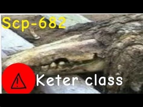 Scp 682 El reptil difícil de destruir explicación completa keter