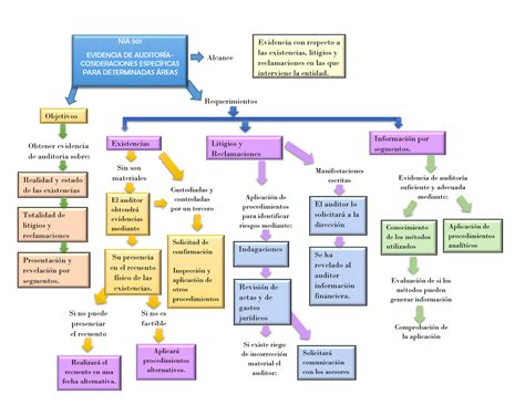 Mapa Conceptual Norma Internacional De Auditoria 501 Evidencia De