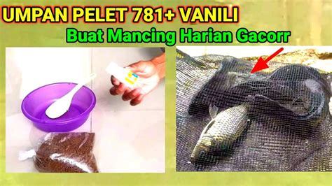 Tutorial Bikin Umpan Bahan Dasar Pelet 781 Vanili Mancing Harian Ikan