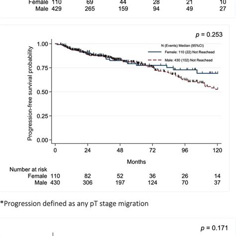 Kaplanmeier Survival Curves For Recurrence Free Survival