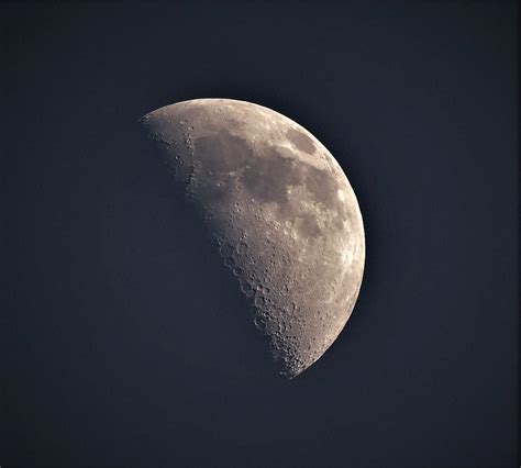 First Quarter Moon - Photograph by - Theresa Nye - Fine Art America