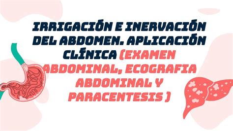 Irrigación e inervación del abdomen Aplicación Clínica Examen