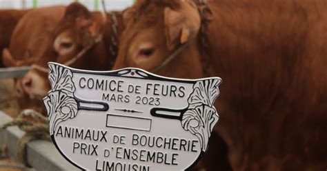 Palmar S Du Concours D Animaux De Boucherie Limousins Paysans De La