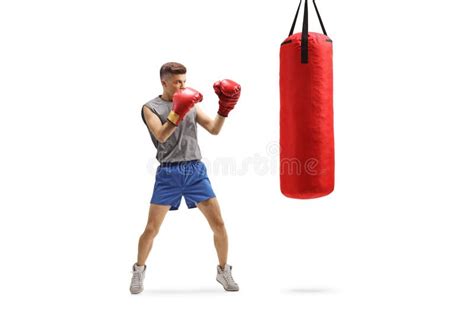 Dois Jovens Lutando Luvas De Boxe Imagem De Stock Imagem De