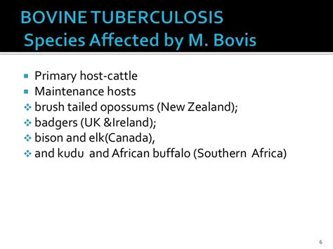 Bovine tuberculosis