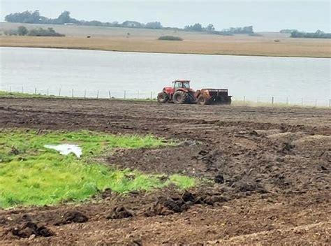 Semeadura De Arroz No Estado Alcan A Irga