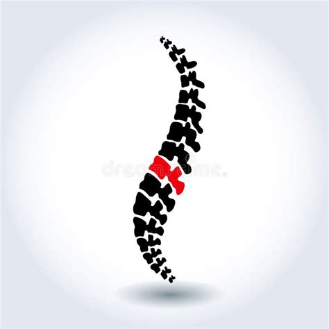 Vector Human Spine Isolated Silhouette Stock Vector Illustration Of