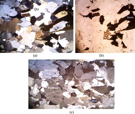 A Quartz Qtz Feldspar Biotite Bt And Garnet Are Some Of The Download Scientific Diagram