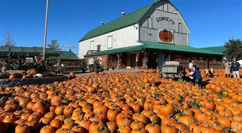 12 Pumpkin Festivals In Ontario For The Perfect Fall Adventure