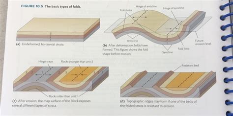 Solved FIGURE 10.5 The basic types of folds. Hinge of | Chegg.com