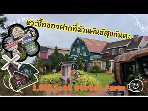 vlog แวะซอของฝากทรานพนธสข เทยวฟารม urbanfarm souvenir