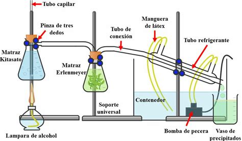 Diagrama Del Montaje Experimental Para La Destilación Por Arrastre De