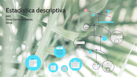 Mapa Conceptual Estadistica Descriptiva By Maria Camila Piedrahita On Prezi