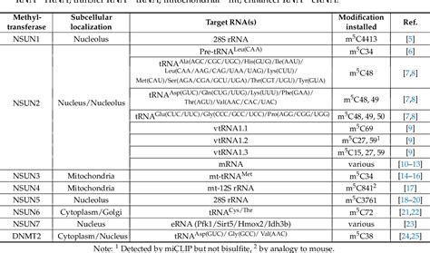 PDF Eukaryotic 5 Methylcytosine M5C RNA Methyltransferases