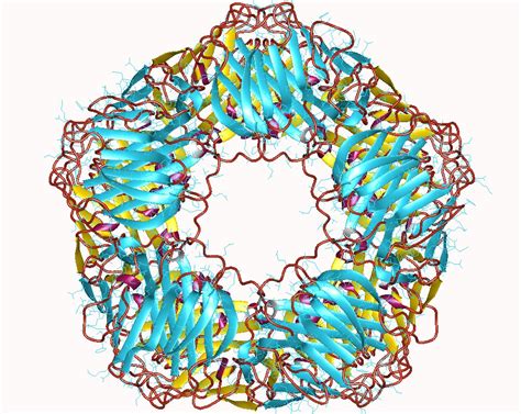 C-Reactive Protein