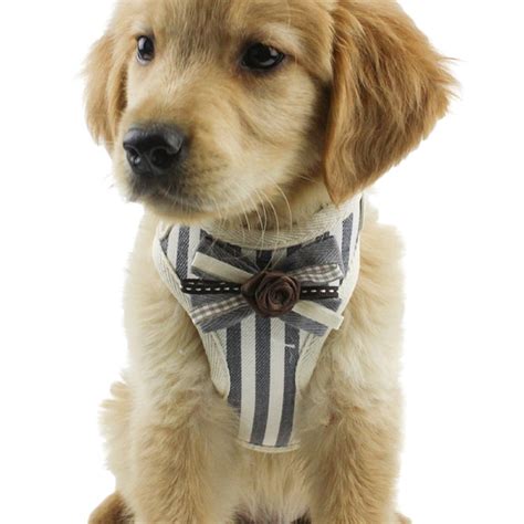 Control Walk Leash Vest, Puppy Training Harness, Reflective Safety