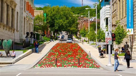 Visit Downtown Montreal: Best of Downtown Montreal, Montreal Travel 2023 | Expedia Tourism