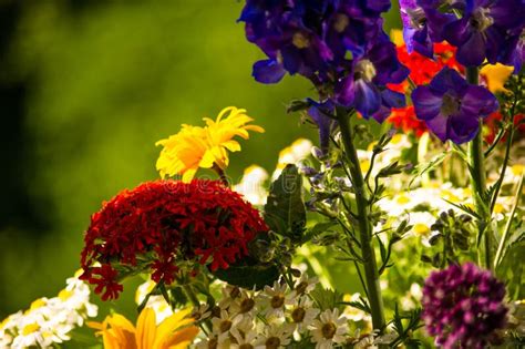 A Bouquet Of Bright Spring Flowers Of Various Types Stock Image Image