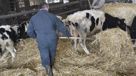 Syndicat Les Propositions Du Modef Pour Une Pac Favorable Lemploi