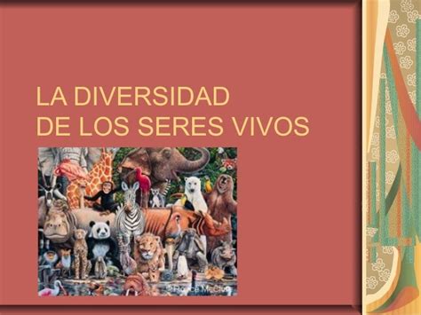 Diversidad De Los Seres Vivos