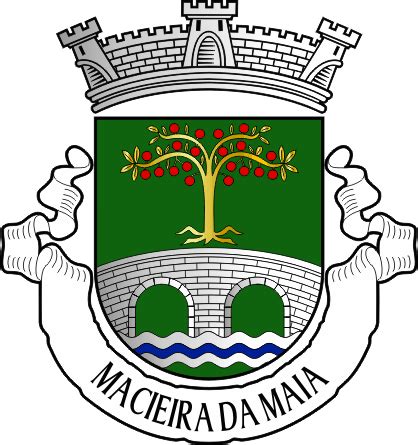 Her Ldica Da Freguesia De Macieira Da Maia Munic Pio De Vila Do Conde