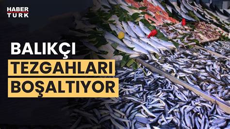 Balık fiyatları ne kadar YouTube