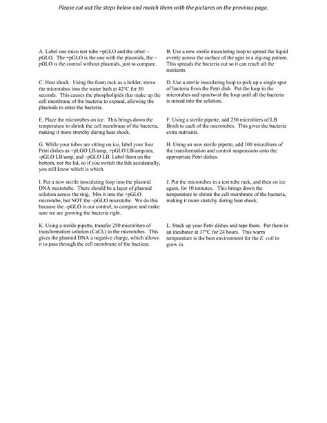 P glo lab kinesthetic | PDF