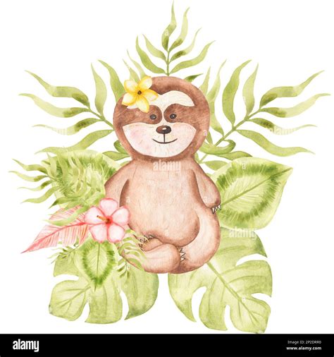 Sloth clipart. Watercolor Baby Sloth clip art, Tropical animal, Leaves ...