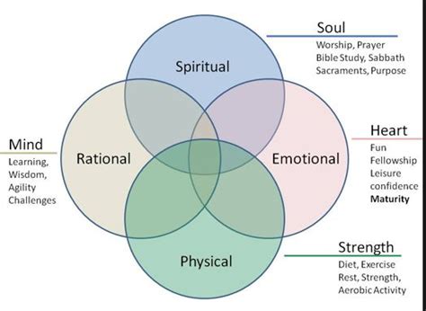 Development Heart Mind Soul Adult Learning Theory Fun Learning