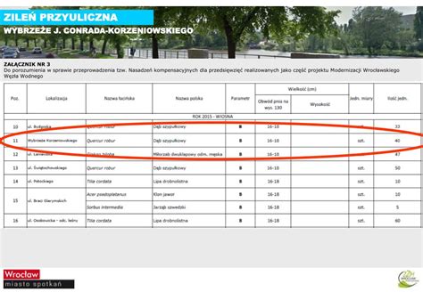 PPT PLAN NASADZEŃ KOMPENSACYJNYCH DRZEW W KORYTARZU ODRY WE WROCŁAWIU