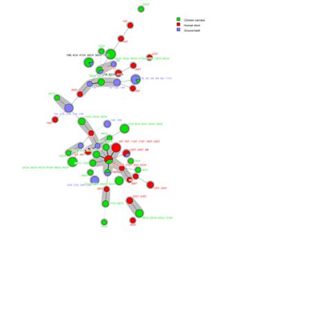 Minimum Spanning Tree MST Based On MLST Analysis Of E Coli From