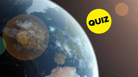 Kennst Du Dich Im Quiz Mit Deinem Haushalt Und Einkauf Aus Oder Bist Du