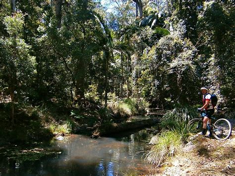 Mount Kilcoy Musings