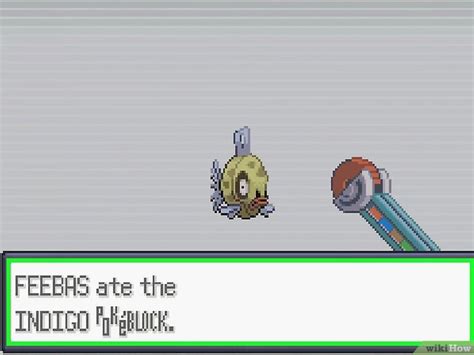 Como Evoluir Um Feebas No Pokemon Emerald 7 Passos