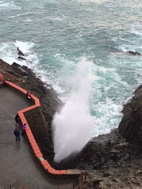 Best Things to Do in Ensenada: Check Out These Epic Adventures