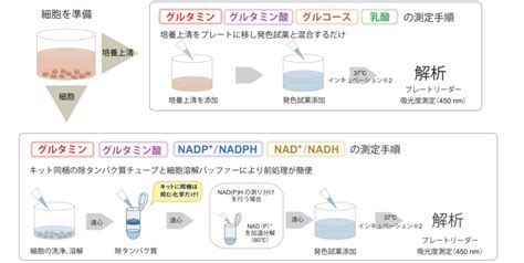 グルタミン酸測定キット・Glutamate Assay Kit-WST・345-09621【詳細情報】｜【ライフサイエンス】｜試薬-富士 ...