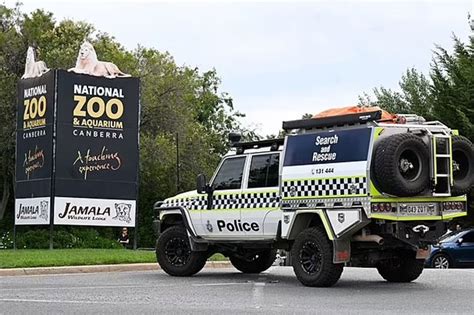 Sri Lankan chef charged with murder after Canberra zoo stabbing