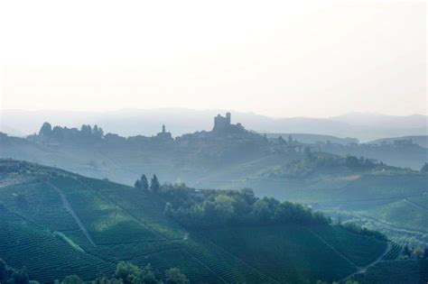 Vietti Barbera d’Asti Tre Vigne DOCG 2018 – Gus Clemens on Wine