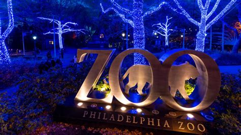 Philly Zoo Holiday Light Show 30 Photos Of Luminature On Top Of