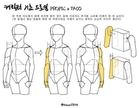 타코작가 On Twitter 드로잉 강좌 해부학 그림 드로잉 기법