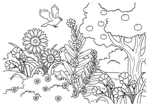 Desenhos De Sementes De Jardim Para Colorir E Imprimir Colorironline