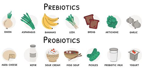 Microbiome Lingo Prebiotics Probiotics And Synbiotics Glycemic Index