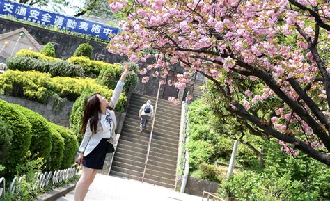 JapaneseBeauties Chiharu Miyazawa jav model Free JavIdol nude picture gallery 宮沢ちはる AV女優