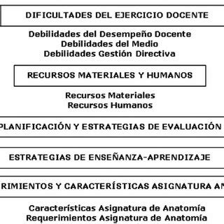 Esquema Te Rico Metodol Gico De Categor As Y Subcategor As