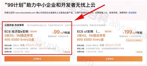 阿里云99元服务器性能测评ecs经济型e实例cpu型号带宽速度存储说明 阿里云服务器