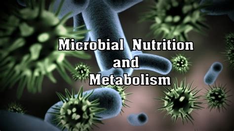 Microbial Nutrition And Microbial Metabolism Microbiology Notes