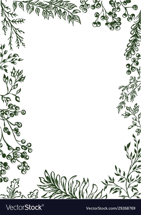 Plants Frame Botanical Border With Leaves Vector Image