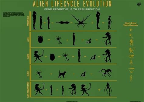 A Complete Guide To Alien Xenomorph Biology Inverse