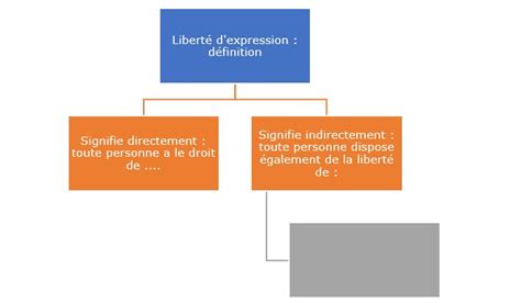 Grand Angle 4 La Liberté Dexpression Dans Lenvironnement Numérique